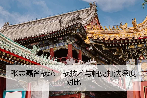 zhang-zhi-lei-bei-zhan-tong-yi-zhan-ji-shu-yu-pa-ke-da-fa-shen-du-dui-bi-3-269.jpg