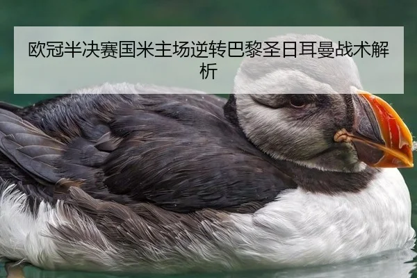 欧冠半决赛国米主场逆转巴黎圣日耳曼战术解析