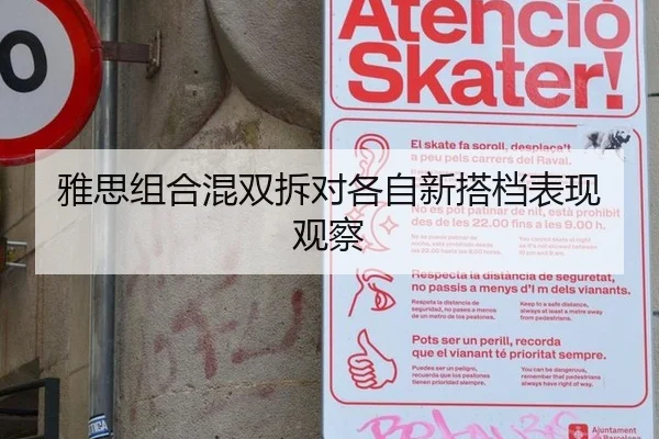 雅思组合混双拆对各自新搭档表现观察