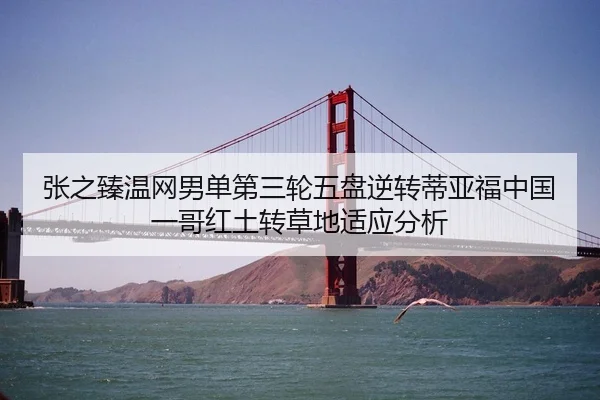 张之臻温网男单第三轮五盘逆转蒂亚福中国一哥红土转草地适应分析