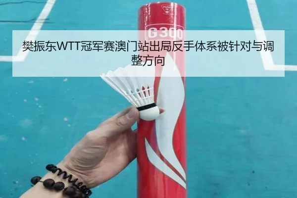 樊振东WTT冠军赛澳门站出局反手体系被针对与调整方向